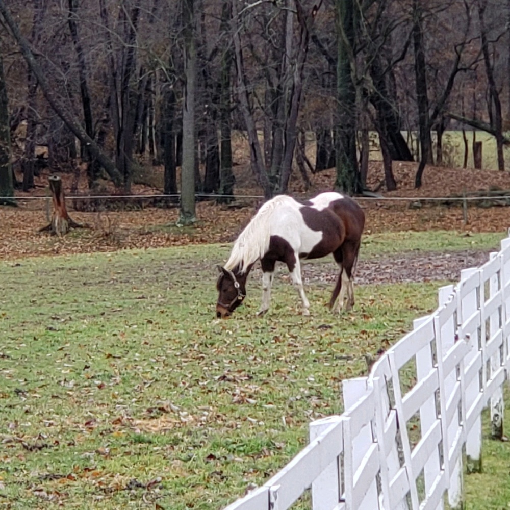 Meet your Posher, Patrick